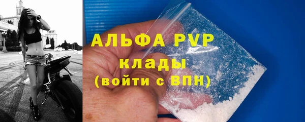 стаф Сосновоборск