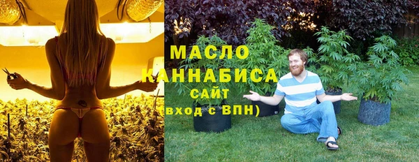 тгк Богородицк