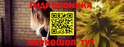 гашик Ирбит