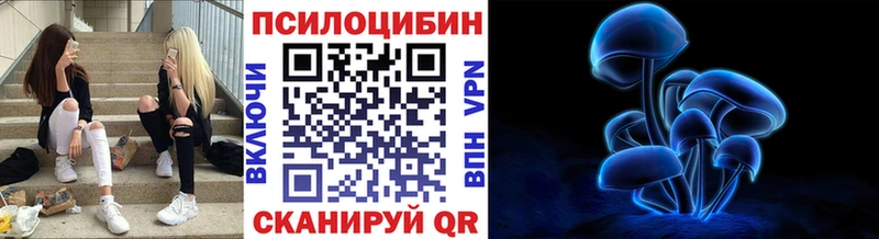 где найти   Надым  Галлюциногенные грибы Magic Shrooms 