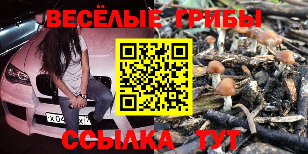 Галлюциногенные грибы Psilocybine cubensis Надым